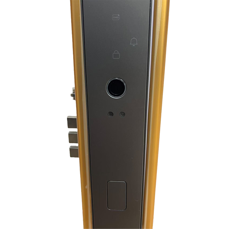 3D Facial Recognition Fingerprint Lock